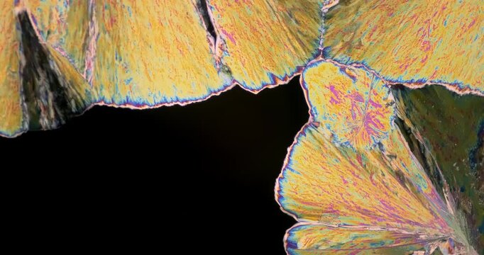 Extreme Macro video of abstract microscopic crystal formation growing under polarized light