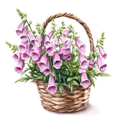 Watercolor illustration vector of Foxglove Flower Basket, isolated on a clean white background. © deltrion