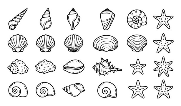 Minimal seashell and starfish outline doodle set with hand drawn coastal sketch elements for ocean design vector collection