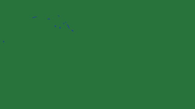 Blue dolphin screen picture of man fish swimming in the water an image bird flying air horse is sky green screen