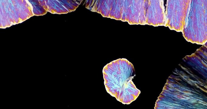 Extreme Macro video of abstract microscopic crystal formation growing under polarized light