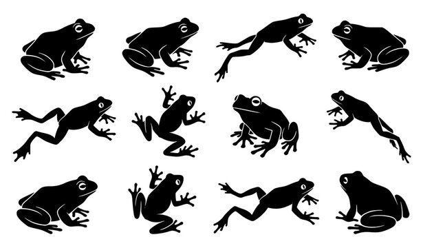 Frog silhouette vector set featuring dynamic amphibian animals in jumping sitting and swimming poses wildlife illustration collection
