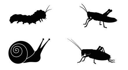 Garden insects and snail black silhouette icon set. © ombg