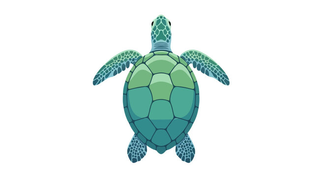 Green sea turtle swimming top view isolated on white background flat vector illustration