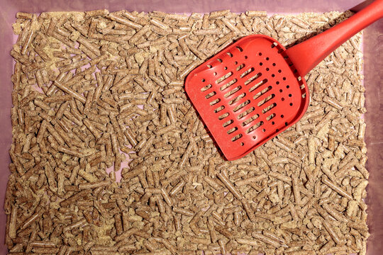 Cat Litter Box with Red Scoop and Wood Granules