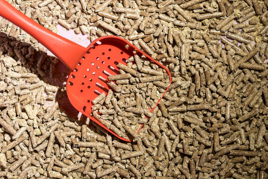 Top View of Kitty Litter Tray, Wood Pellets and Red Shovel