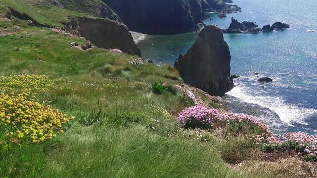 Epic Locations sea cliffs on Waterford Coast Ireland clifftop flora shimmering seas stack summer in epic locations