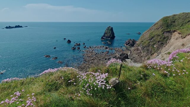 Epic Locations Ireland Copper coast Waterford in summer sea pinks on coastal cliff a riot of flora and colours
