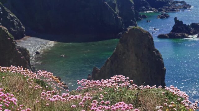 Ireland Epic Locations sea pinks sea stack and shimmering blue sea copper Coast Waterford Ireland