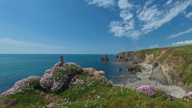 Timelapse Irish Coast Waterford beautiful clifftop flora soft cloud movement on a beautiful summer morning