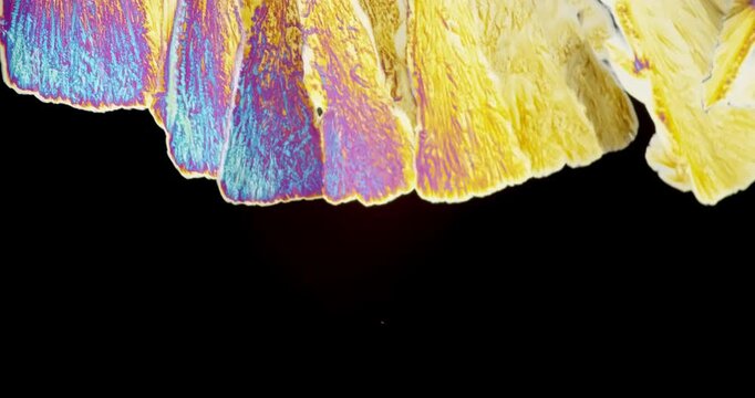 Extreme Macro video of abstract microscopic crystal formation growing under polarized light