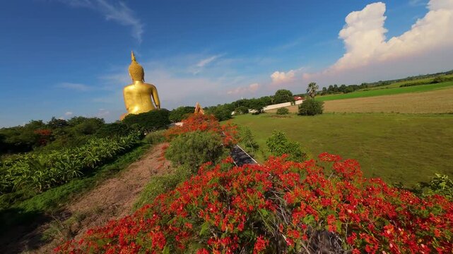 Swooping aerial FPV shot of golden Buddha statue amidst vibrant trees and fields in Thailand