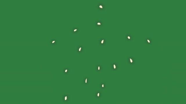 A green screen with white background and some holes in it dots on lot of clock flower bird flying the sky hole middle bunch flowers animated chromakey background layers expression emotion