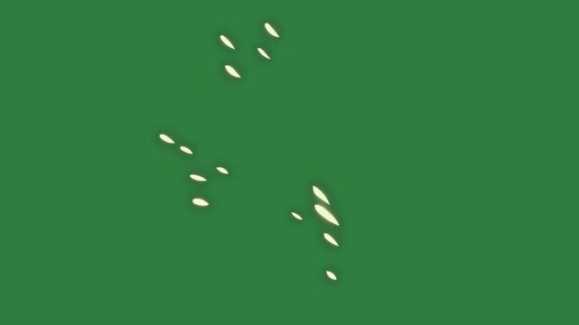 A green screen with white background and dots on it group of birds flying in the sky light coming from animated chromakey background colorful expression composition design creative