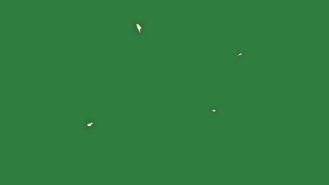 A green screen with white background and close up of clock on hole in the middle bird it animated chromakey background frame motion cartoonish elements layers design illustration style