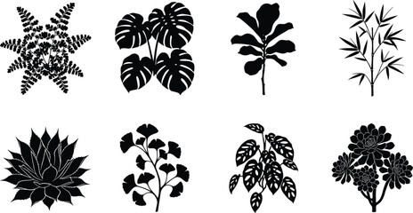 Tropical plant silhouette collection featuring monstera bamboo succulent fern and decorative botanical leaves © MdMazibur