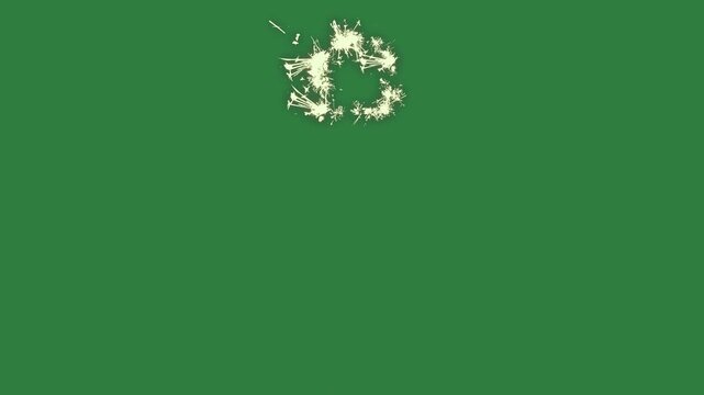 Outline tree flower isolated on green screen background
