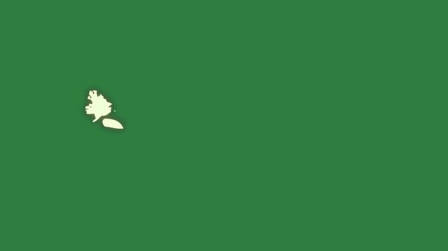 White cat and person surf board bird dove silhouette of dog outline isolated on green screen background