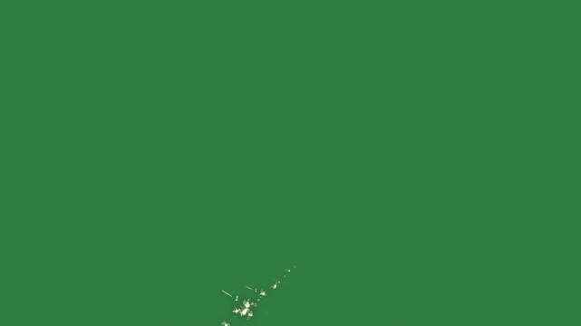 Spots dansies map japan flower an image paint isolated on green screen background