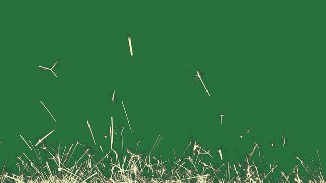 A green background with white grass and screen some in it on the fore leaf green screen animated chromakey background gesture elements depth emotion backgrounds illustration creative