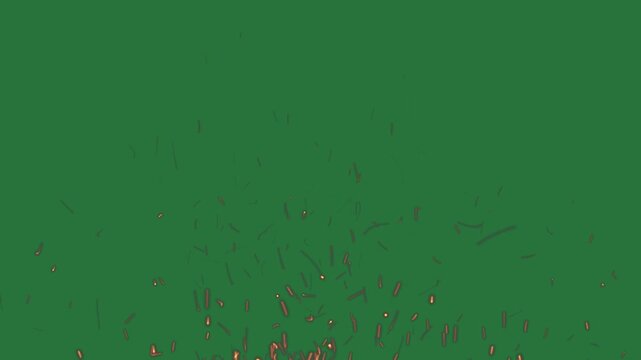 A green background with bunch of flowers and screen fireworks on it lots gold sparkles green screen animated chromakey background layers expression colorful scene illustration frame
