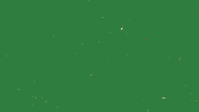 A green screen with white background and an image of bunch flowers on it fireworks animated chromakey background style design creative scene depth motion gesture composition cartoonish