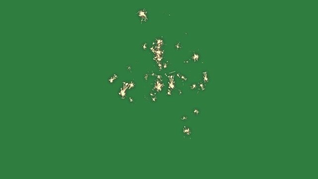 A green screen with white background and hole in the middle an image of spider on small bunch flowers animated chromakey background motion cartoonish frame depth elements backgrounds