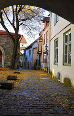 Fototapeta premium Autumn Cobblestone St. Catherine's Passage Seen Through Stone Arch, Tallinn Old Town, Estonia