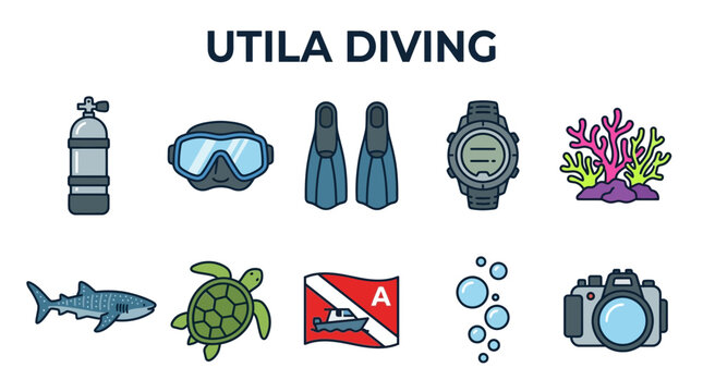 Utila Diving Equipment and Marine Life Illustrations