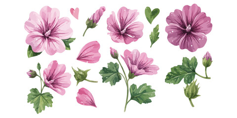Watercolor purple mallow malva flowers and leaves clipart set © dian's