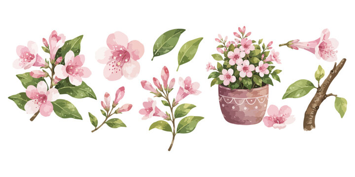 Watercolor pink weigela flowers and spring branches set