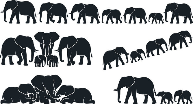 African Elephant Family Silhouette Set Featuring Herd Migration Parenting and Social Wildlife Behavior Scenes in Vector Illustration Collection