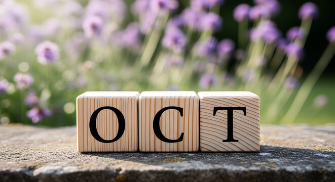 Wooden blocks spelling O C T on stone with blurred purple flowers background october