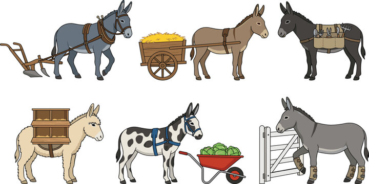 Working Donkey Collection with Farm Transportation and Pack Animal Activities Featuring Rural Agriculture Life Vector Illustration Set