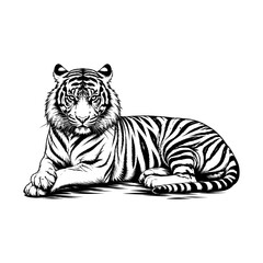 Fototapeta premium black and white tiger silhouette vector