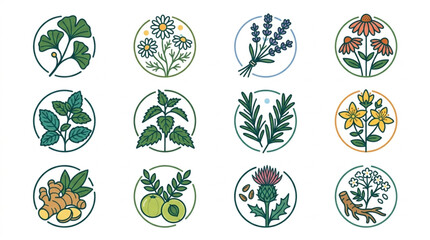 Collection of botanical illustrations representing various medicinal herbs and plants. © Mamad