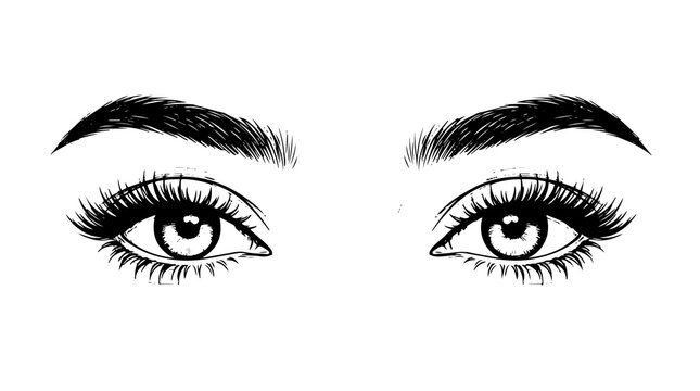 Beautiful female eyes with long eyelashes and perfectly shaped eyebrows vector illustration