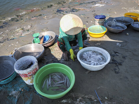 vendeuse de poissons et fruits de mer sur une plage