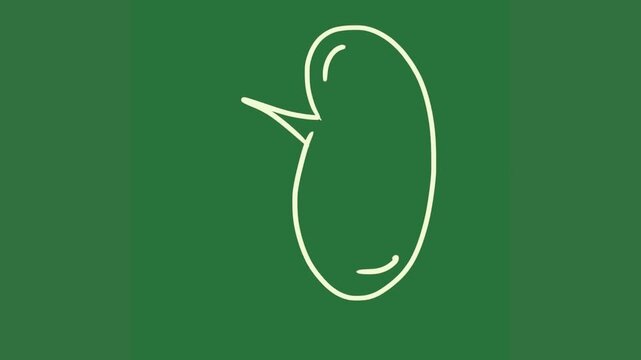 A green background with the letter c in white and outline of an oval fish green screen animated chromakey background illustration emotion design elements colorful frame expression backgrounds