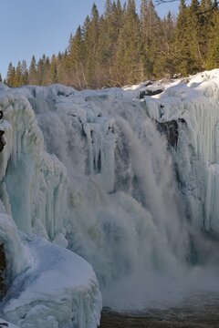 A frozen waterfall with forest in the background and snow on the rocks, water roaring over ice-covered cascades next to a dense forest backdrop, winter, Sweden's highest waterfall, T&auml;nnforsen, &Aring;re&auml;lven, Are, J&auml;mtland, Sweden