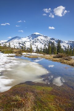 Springtime mountain landscape with meltwater pools and spruce trees, Gilfert in the background, Naunz, Tux Pre-Alps, Tyrol, Austria