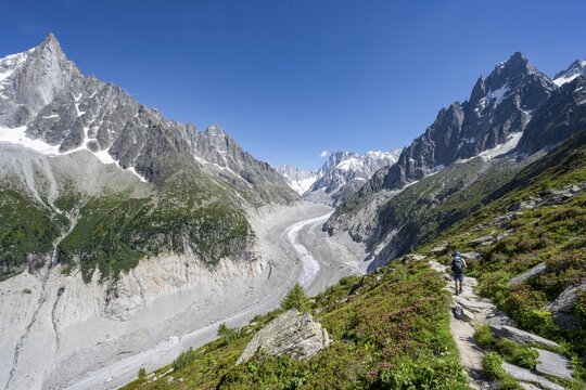 Picturesque mountain landscape with blooming alpine roses, imposing mountain peaks and glaciers, mountaineers on a hiking trail, Grand Balcon Nord, glacier tongue Mer de Glace, behind Grandes Jorasses, Mont Blanc massif, Montenvers, Chamonix, Haute-Savoie, France