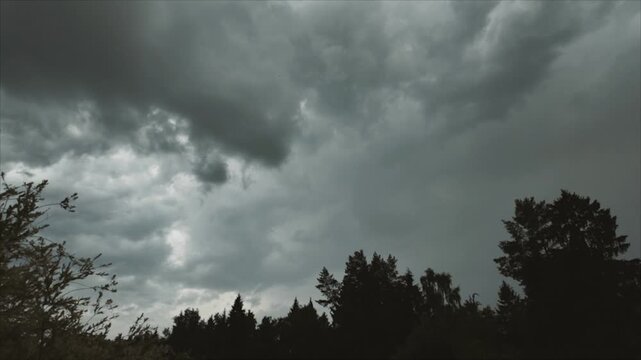 Storm clouds move across the sky above the forest, a flash of lightning. Timelapse