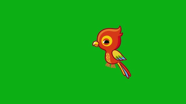 parrot phoenix tropical avian feathers beak wings premium stock media clip for professional video editing projects. this high-end visual element is perfectly optimized