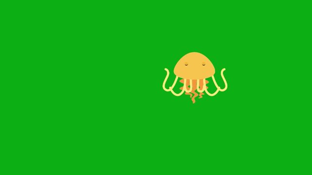 octopus yellow marine mollusk tentacles ocean reef premium stock media clip for professional video editing projects. this high-end visual element is perfectly optimized