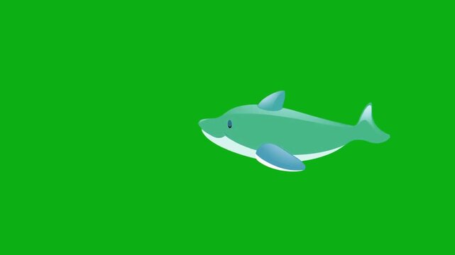 shark predator marine ocean aquatic swim fish fin premium stock media clip for professional video editing projects. this high-end visual element is perfectly optimized