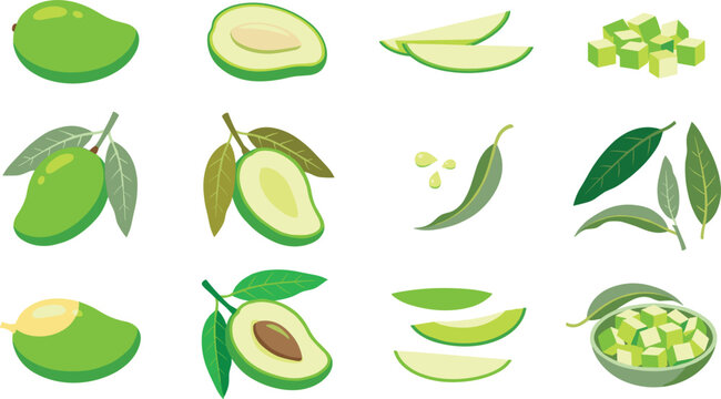 Fresh Green Mango Fruit Vector Illustration Set Featuring Whole Raw Mangoes, Slices, Cubes, and Leaves for Food Packaging and Culinary Graphic Designs