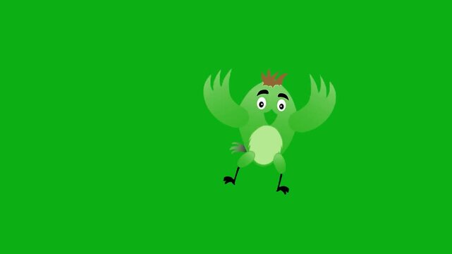 parrot green avian tropical feathers beak wings fly premium stock media clip for professional video editing projects. this high-end visual element is perfectly optimized