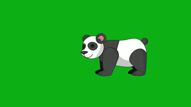 panda bear wildlife bamboo forest mammal fur china conservation premium stock media clip for professional video editing projects. this high-end visual element is perfectly