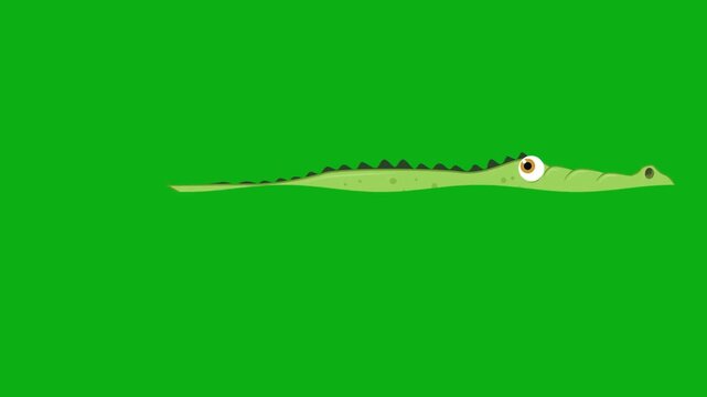 crocodile alligator reptile predator swamp river scales teeth hunter premium stock media clip for professional video editing projects. this high-end visual element is perfectly